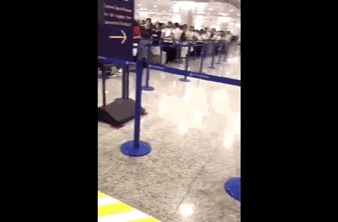 东莞人注意！11月香港税率大变化，这些东西都不能带回来了！