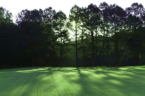 六甲国际高尔夫俱乐部,六甲国际高尔夫