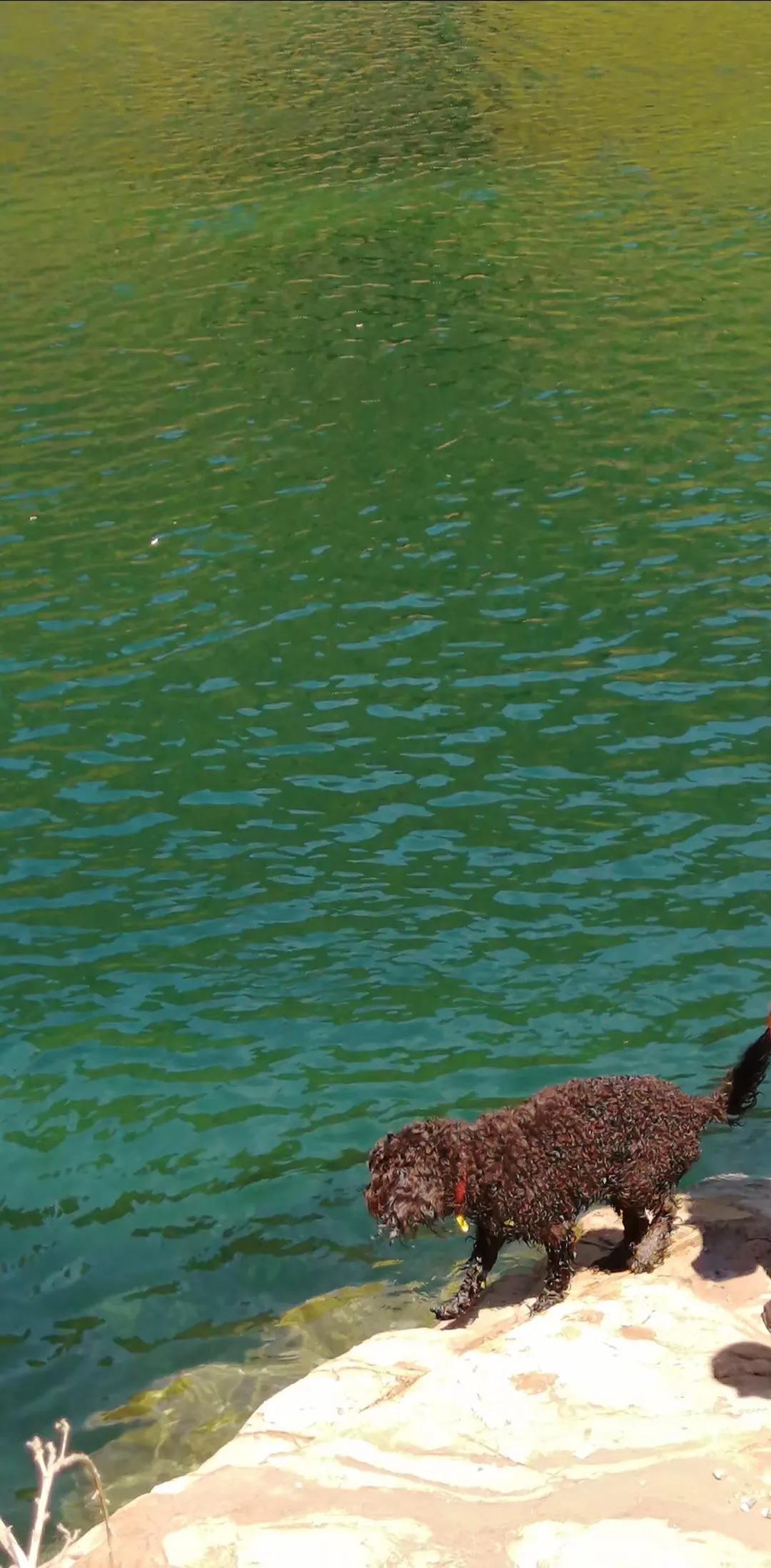 记忆中的旅行之新西兰（北岛）