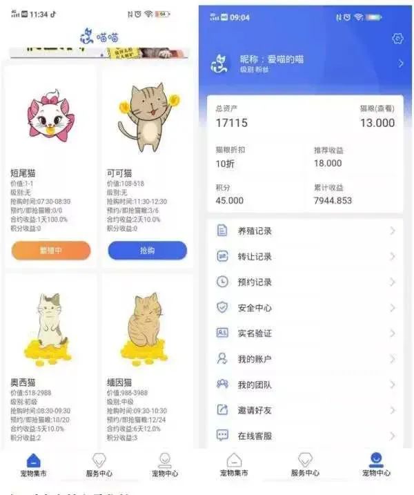 数千人投资喵喵app养猫后血本无归,数千人网上养猫被骗视频