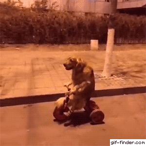 iphone一旦使用2年就各种问题出现,iphone各种问题曝光