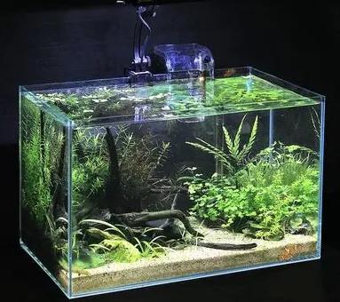 古法养鱼新缸表面油膜如何处理,除油膜过滤器里面可以放滤材