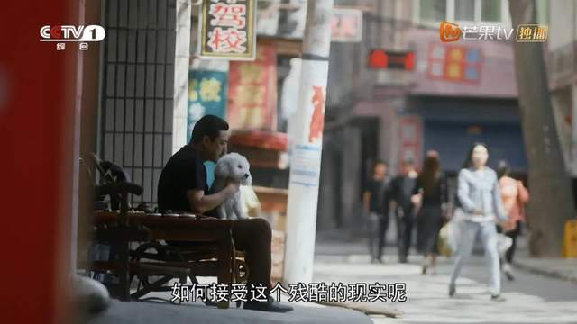 装台张嘉译秦海璐,张嘉译装台完整视频