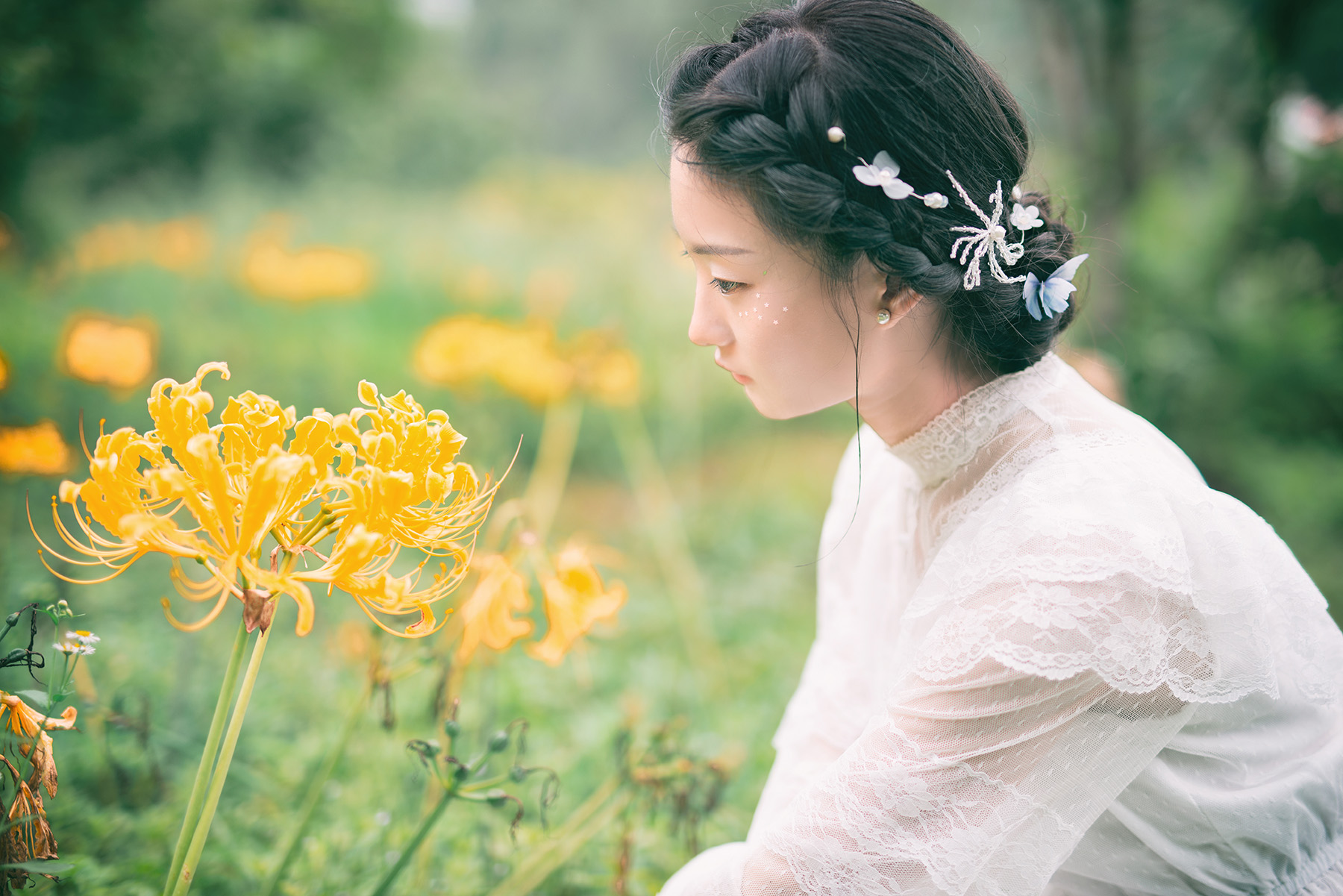 第14篇，尼康相机的标头-2021年元旦快乐