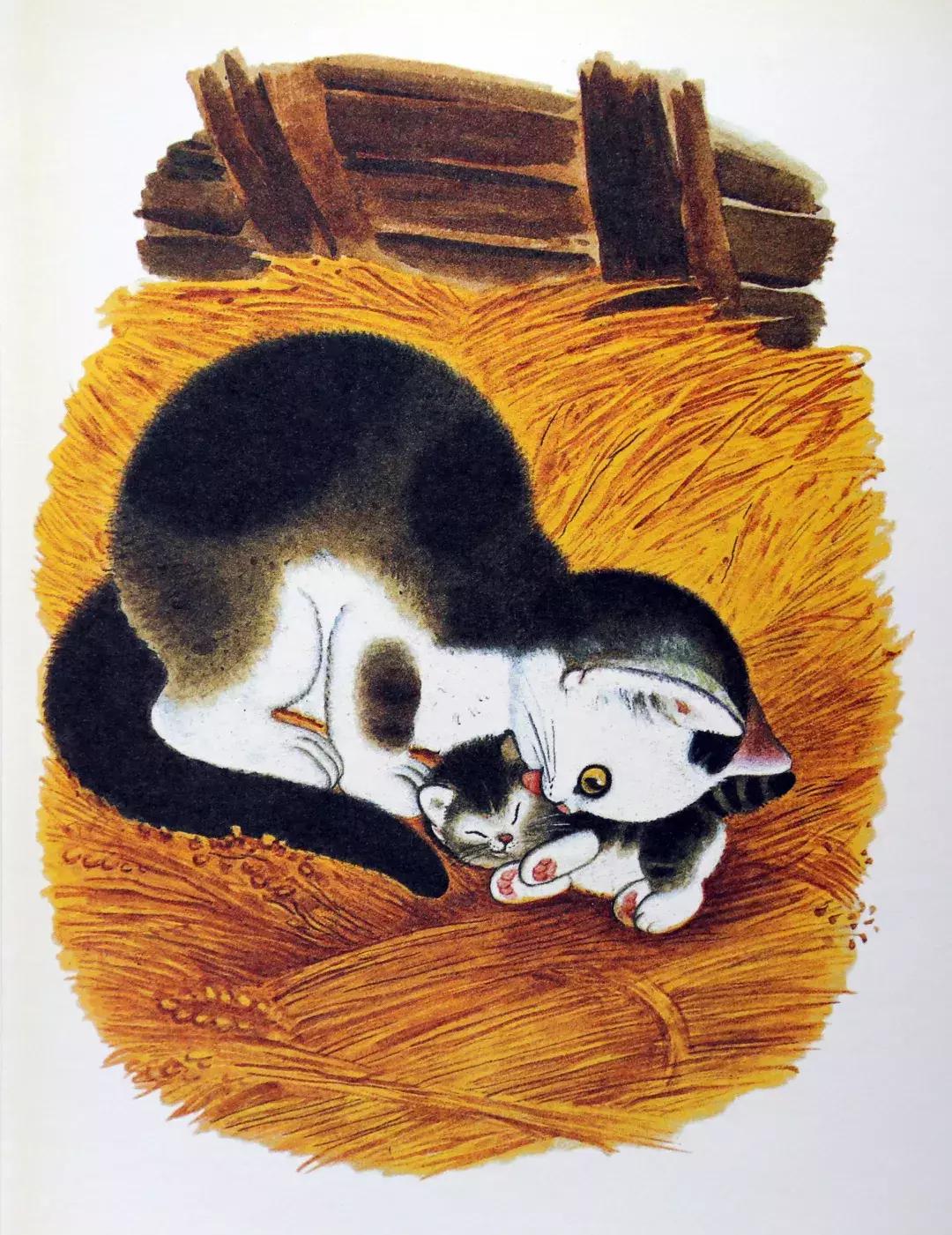 为什么要看绘本羞答答的小猫,幼儿绘本孤独的小猫推荐理由