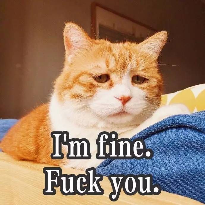 快递血泪史详细介绍,快递进化史菜鸟