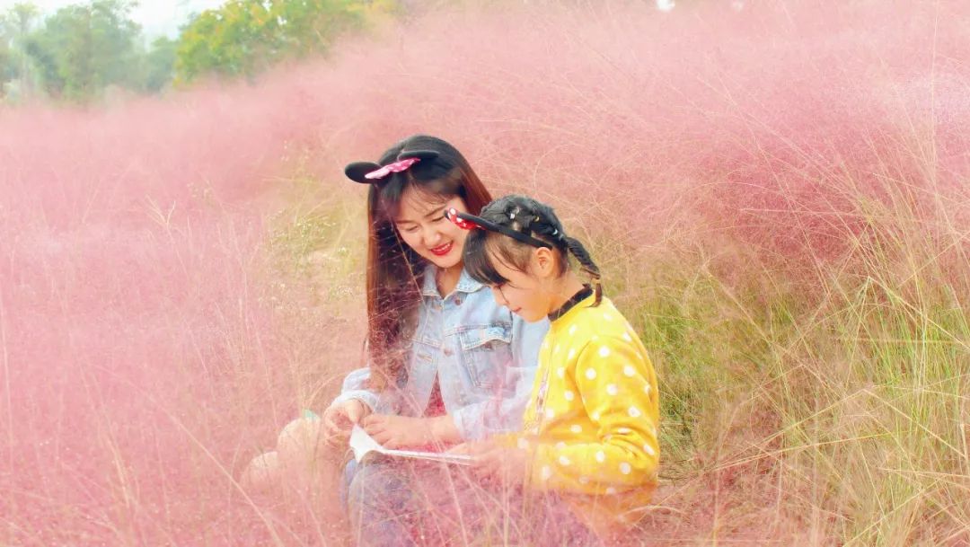 浦口好看的花海,浦口最好的花海