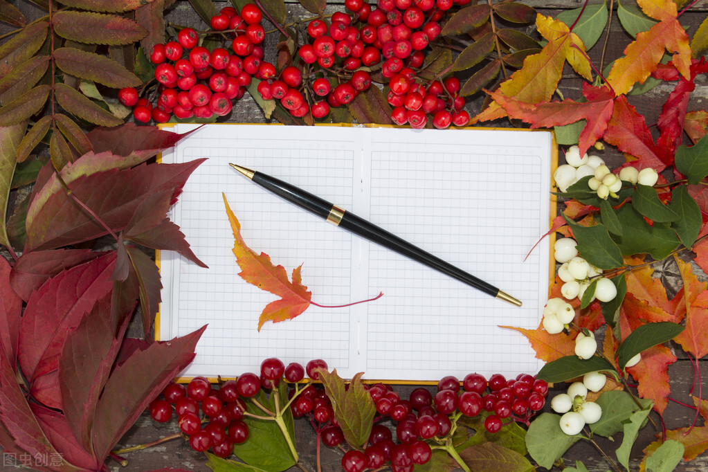 如何分析文章的写作思路,作文的写作思路与文章结构的关系