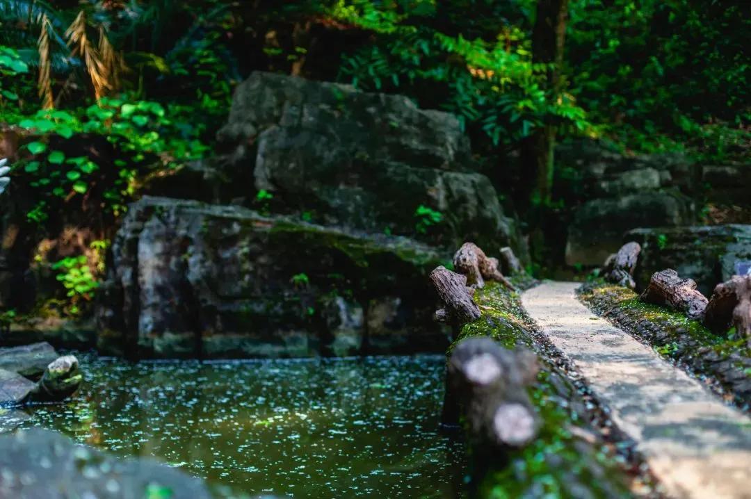 湘南奇胜之首，灵秀媲美江南，却被广东私藏成了后花园