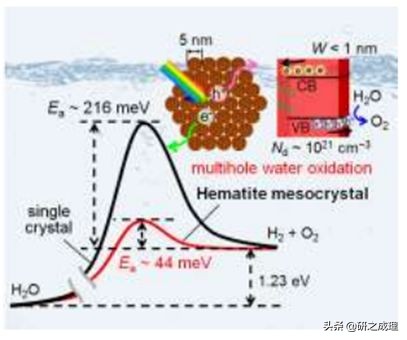催化周报:10篇子刊,14篇Angew,你想要的前沿都在这里