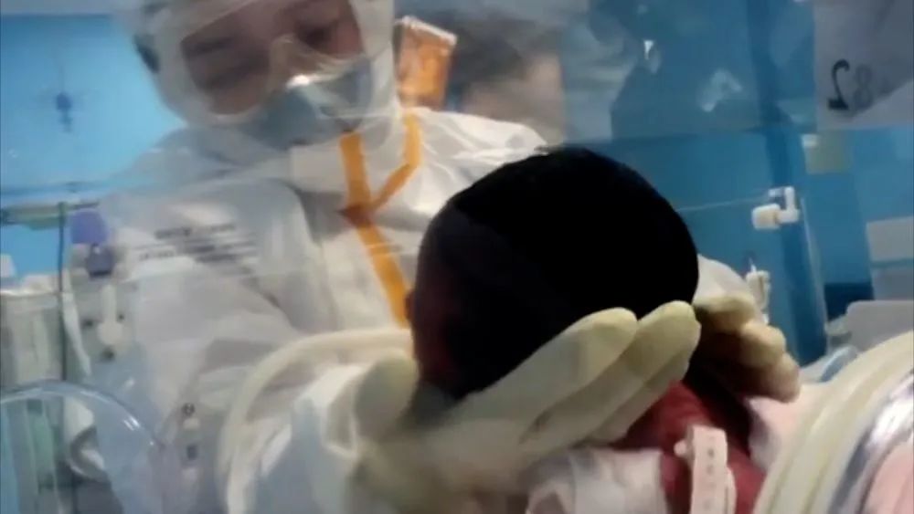 春天的画儿童燕子,春天的画儿童绘本