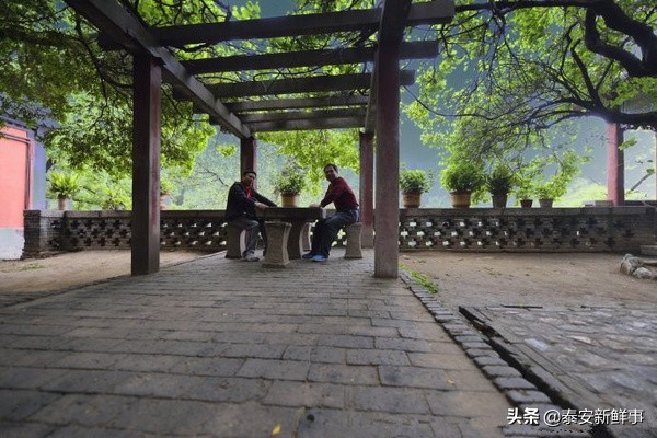 泰山斗姆宫尼姑,泰山斗母宫和斗姥宫