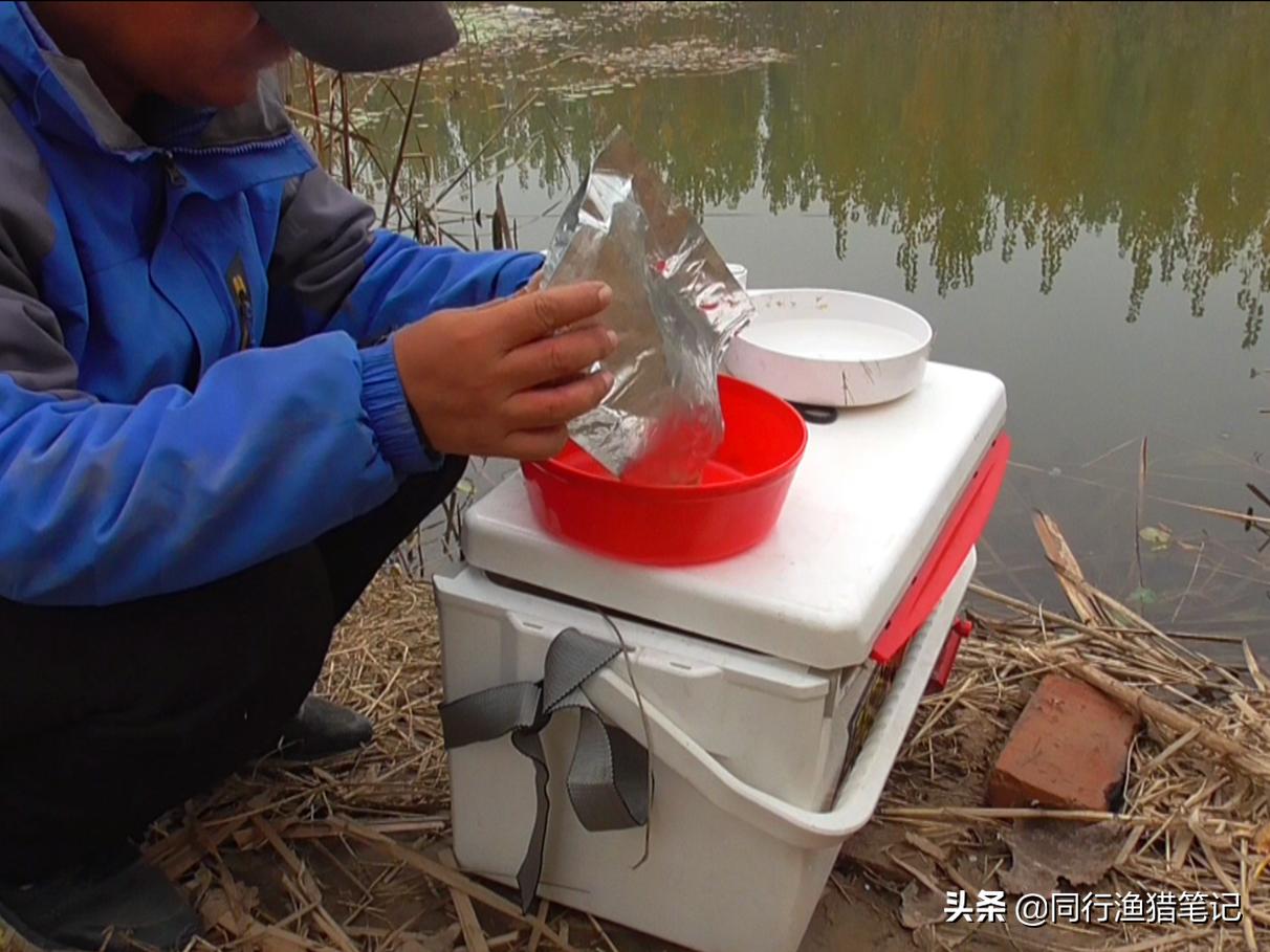 如何开出有弹性蓬松饱满的拉饵呢,拉饵怎么开才能拉出饱满的饵团