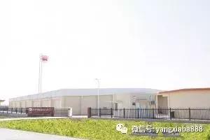 高科技养殖虾,天津对虾