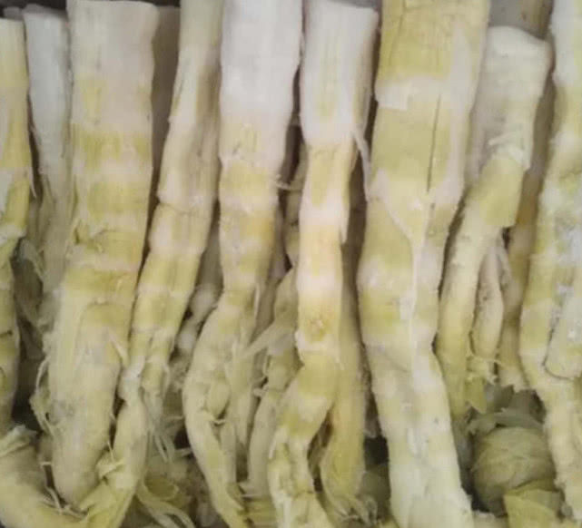 哪种笋最好吃又实用,最好吃的笋是哪种