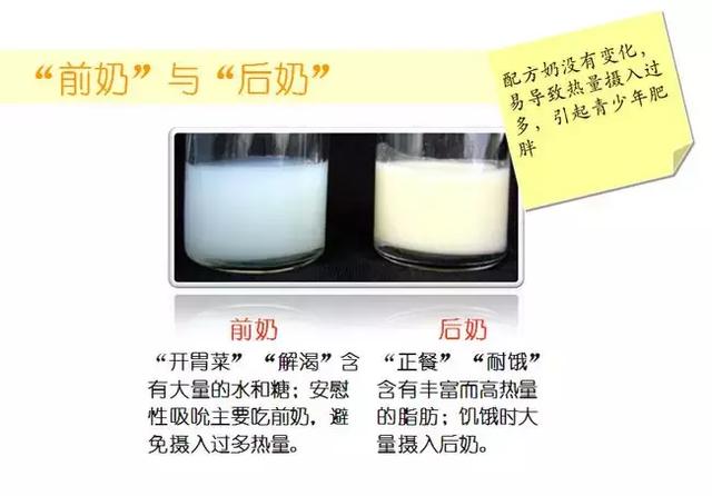 前奶、后奶、稀奶、稠奶，究竟哪个营养值高？区别是什么