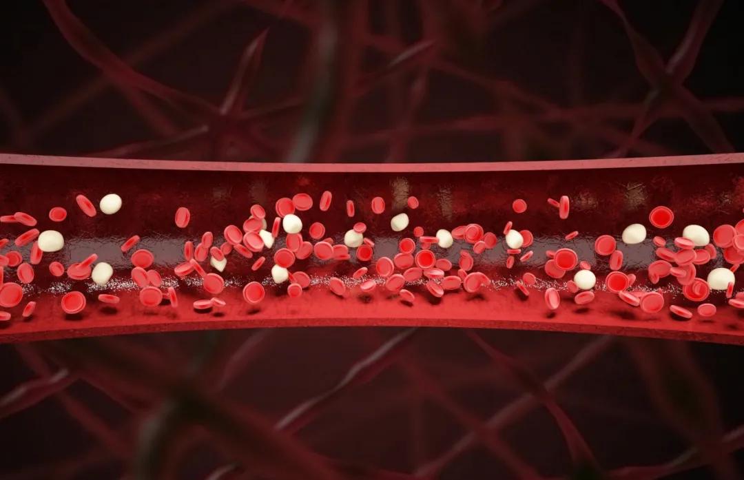 老年人冠心病注意事项和保养,老年人冠心病治疗最佳方法