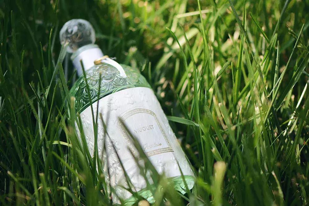 娇兰铃兰香水系列,娇兰铃兰香水哪一年的味道最好闻