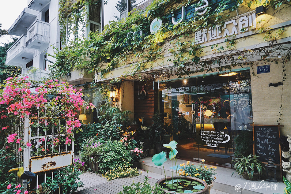 厦门没去过的地方,厦门没去过的景点