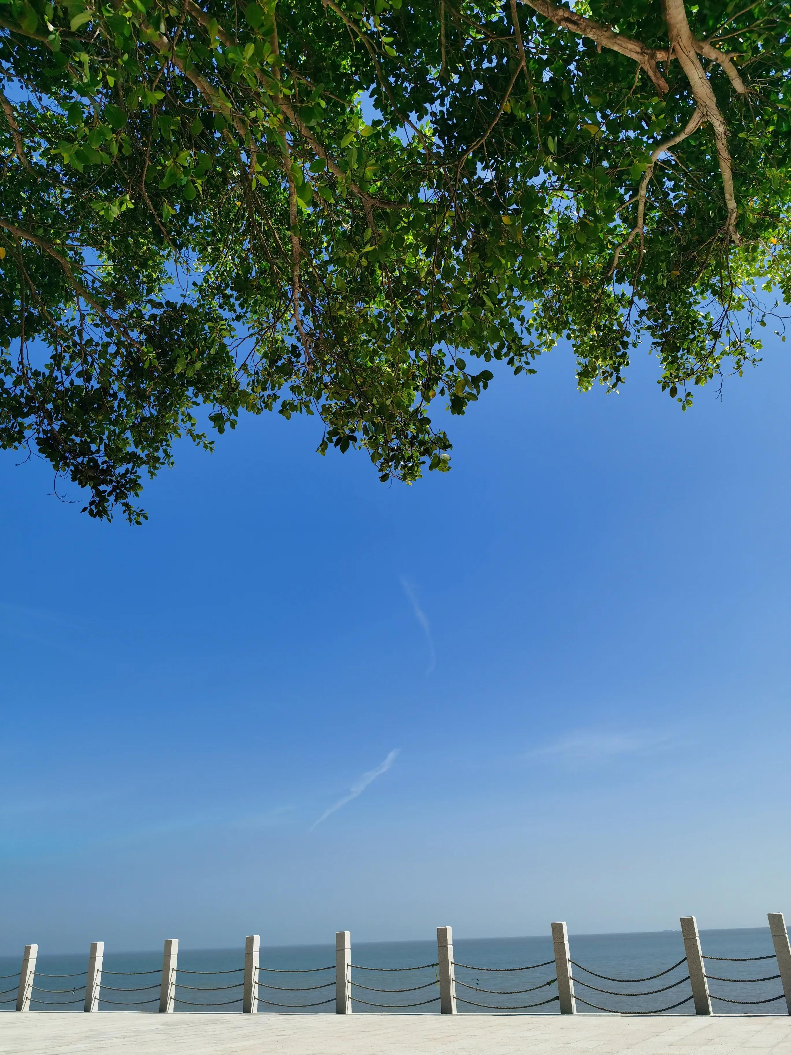 珠海偏僻人少的赶海地,珠海沙滩晚上露营赶海最佳地方