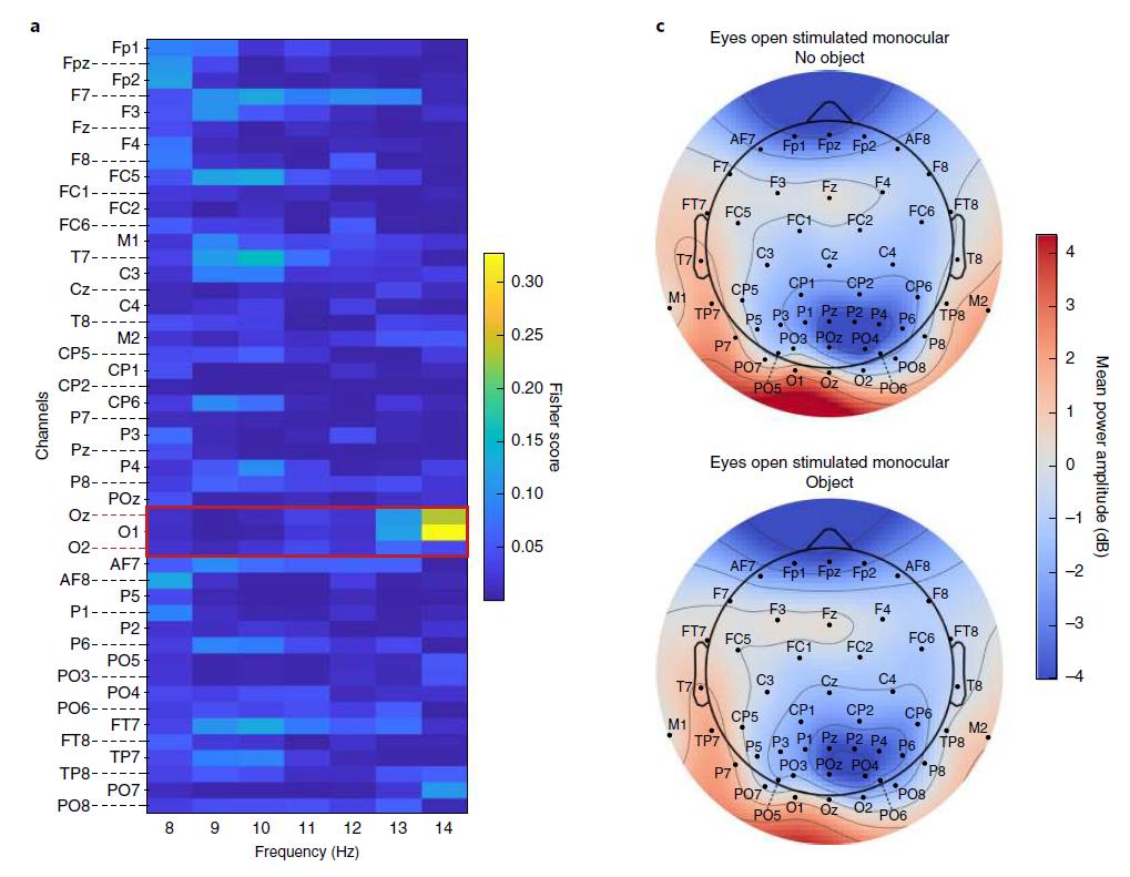 人工视觉盲人复明的希望,盲人眼睛重现光明