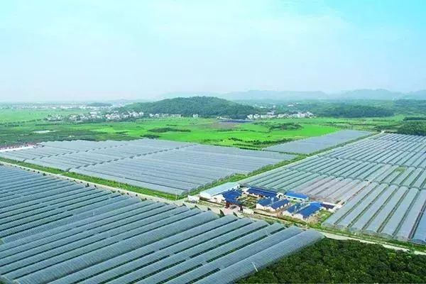 供销合作社对接农业,与供销社重点合作事项