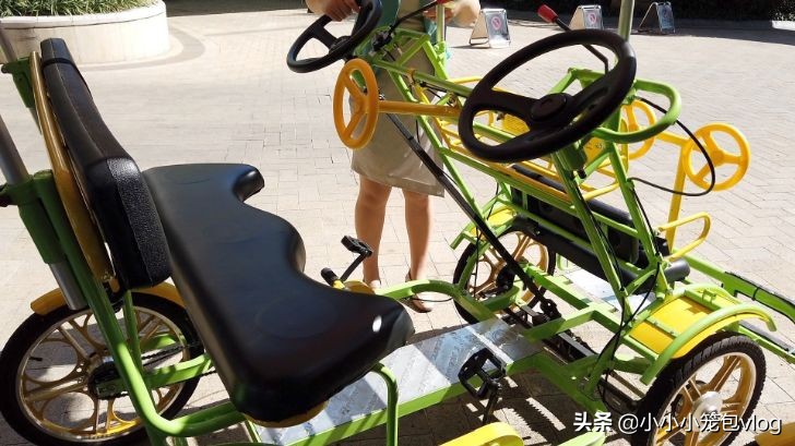 在千岛湖小岛上生活,千岛湖慢生活街区