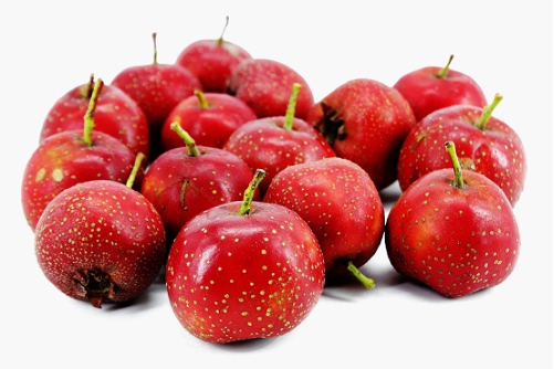 山楂的功效与作用可助消化吗,山楂有助于消化吗