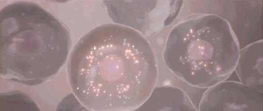 比掉发还影响形象，90%职场人士都没注意到的细节