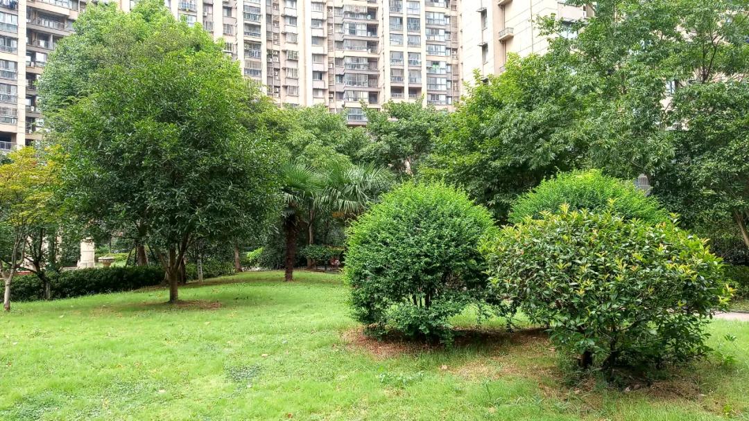 中房和万科物业哪个好,中房物业vs金佳物业