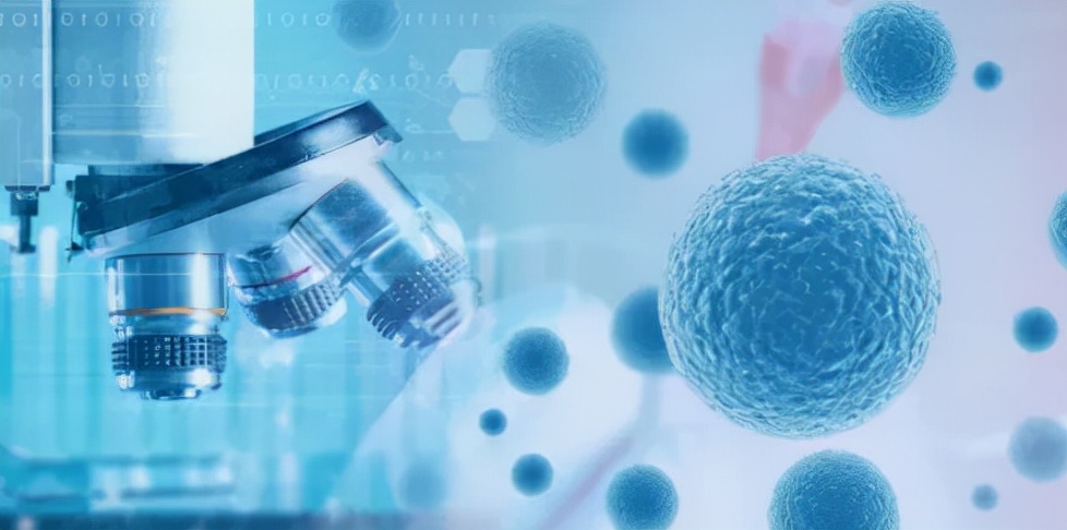 干细胞治肝硬化最新临床研究,干细胞辅助治疗肝病肝硬化