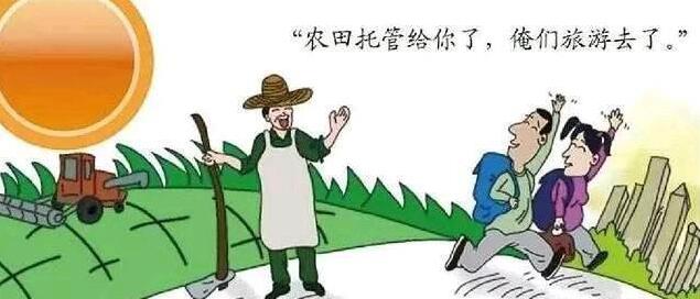 农村无人种地的情况怎么解决,农民不能种地了怎么办