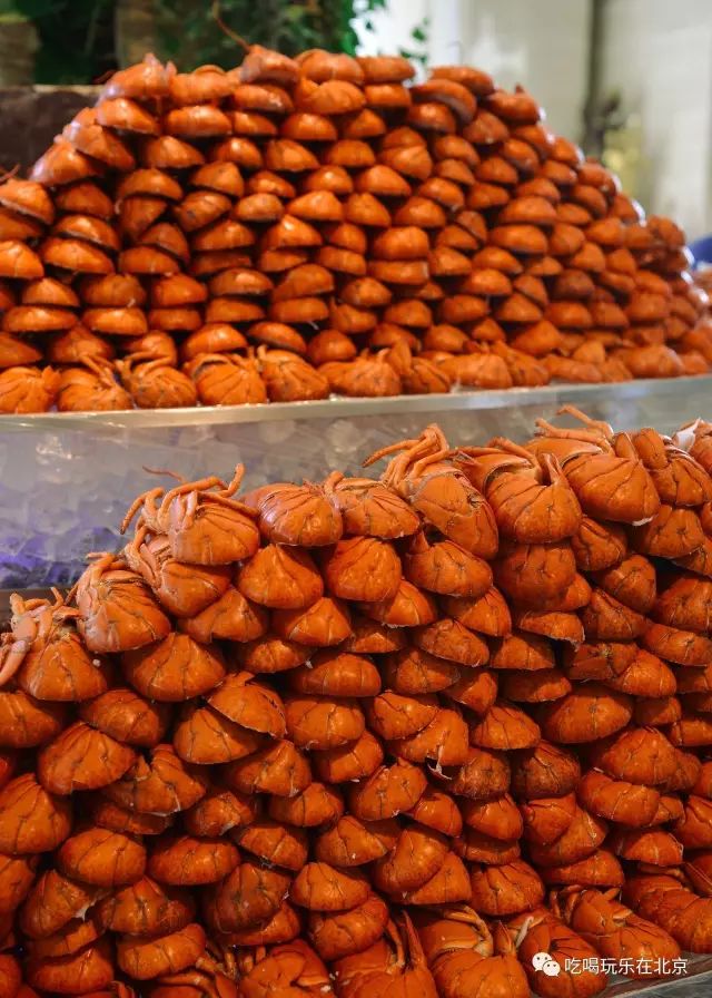 北京能吃回本的自助,女生都能吃回本的自助