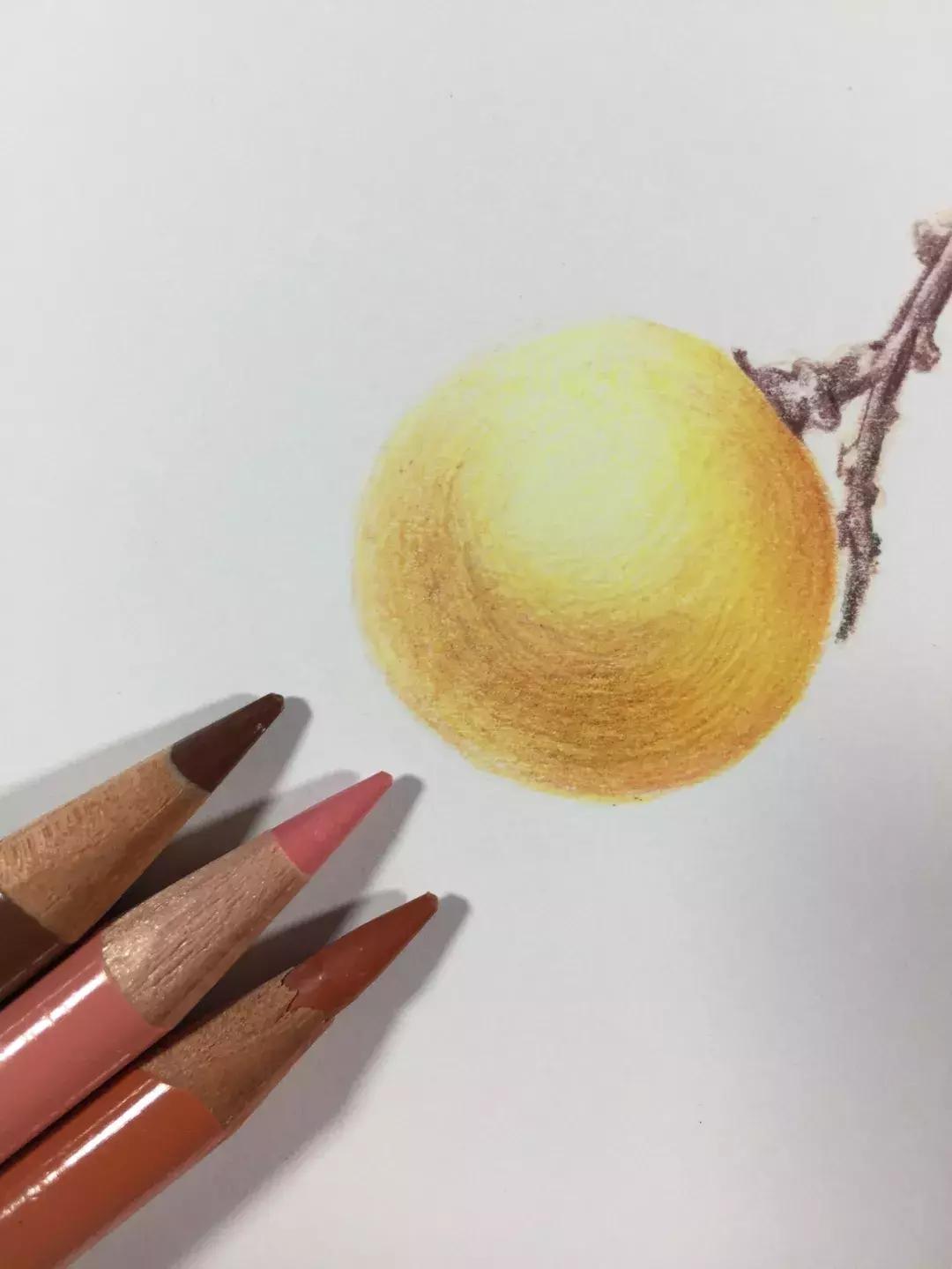 彩铅龙眼,龙眼怎么画彩铅