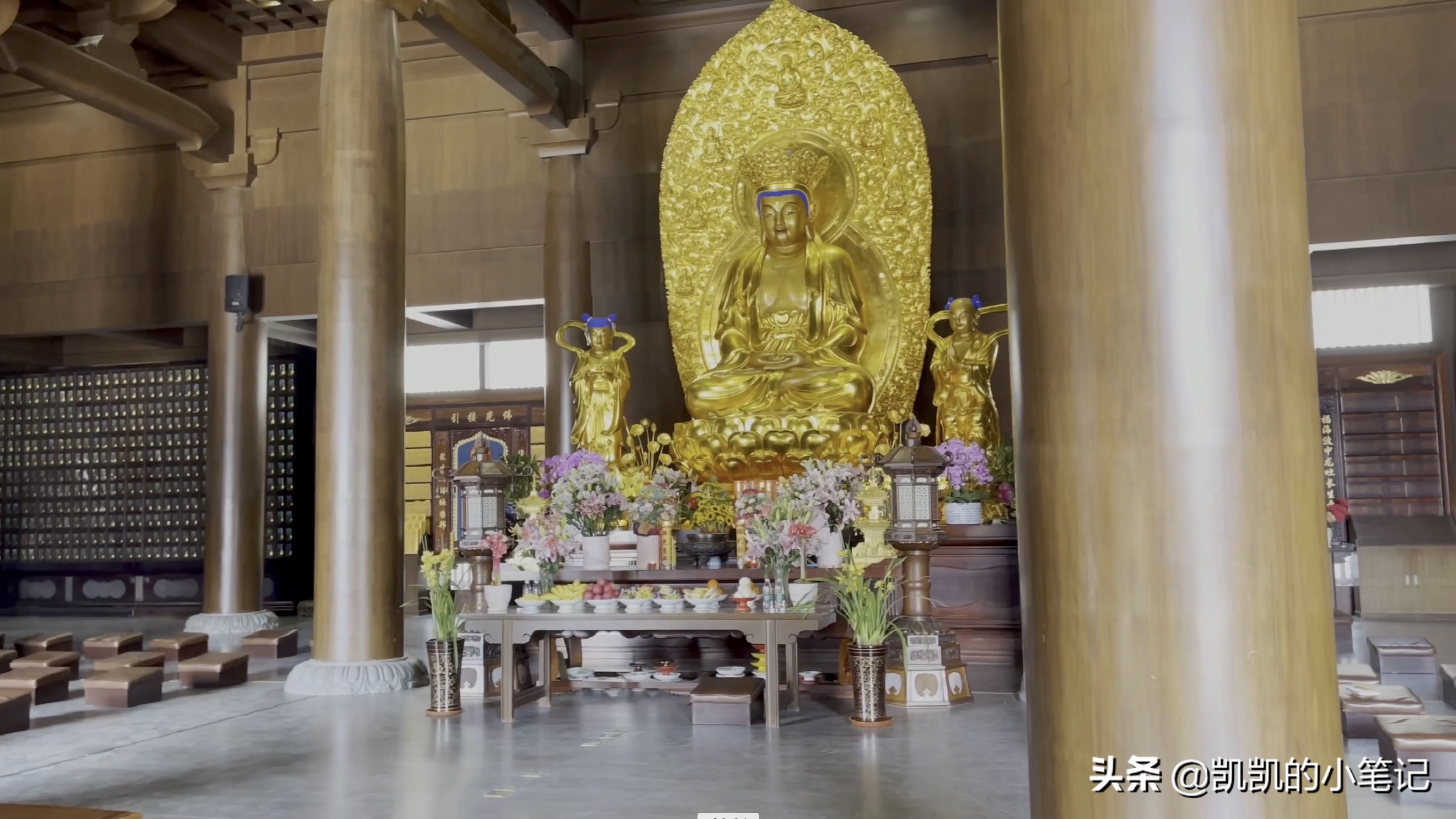 横山寺樱花园门票,横山寺和龙王塘樱花园