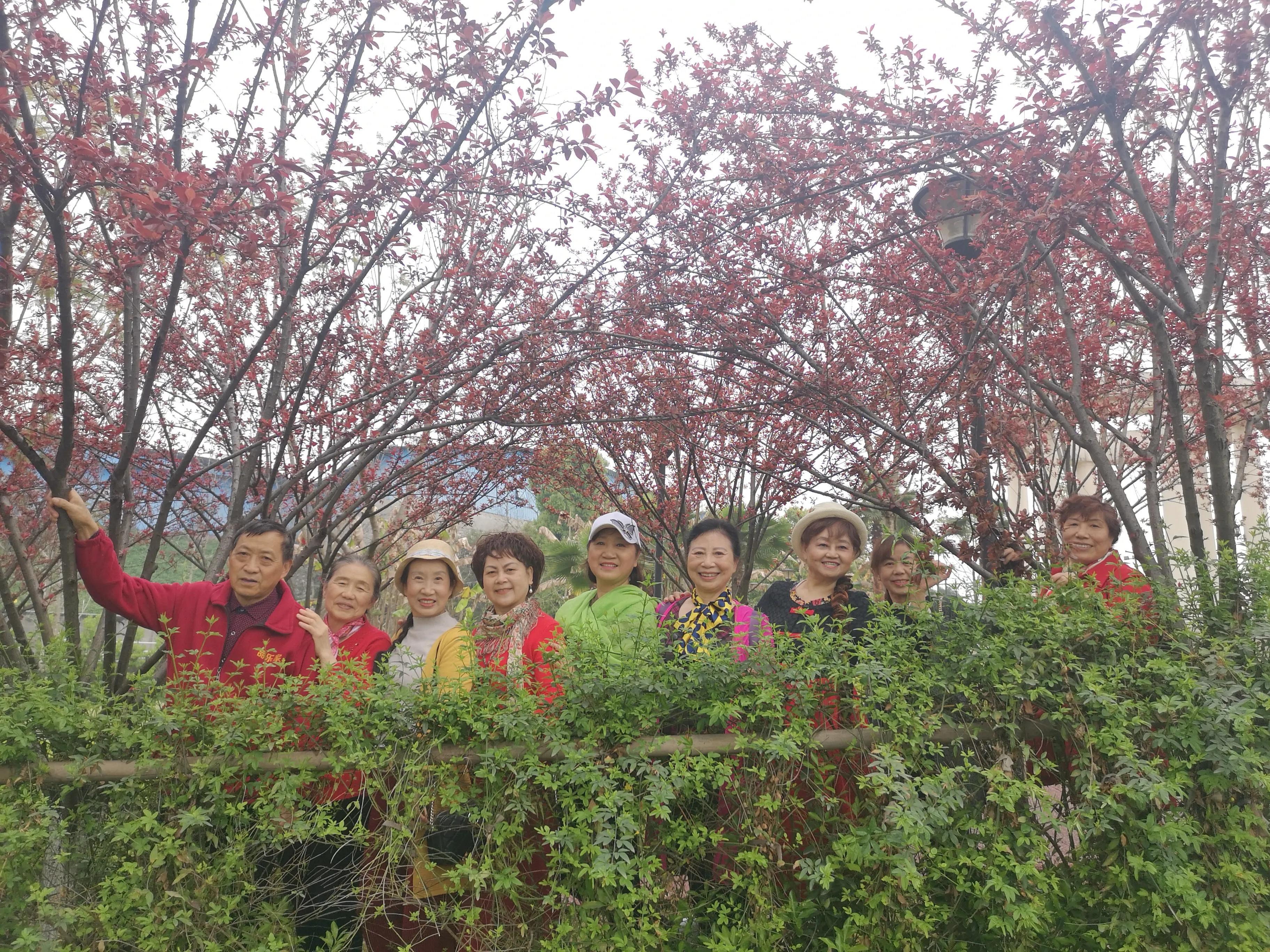 春游和姐妹踏青,春游踏青姐妹拍照