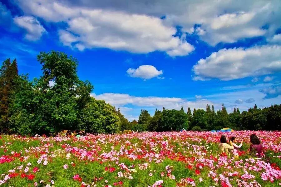 上海站到上海新国际博览中心地铁,上海地铁沿线景点排名