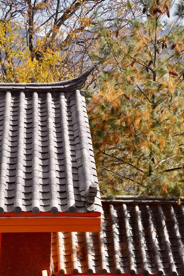 泸沽湖天空之镜怎么去,泸沽湖哪里有天空之镜