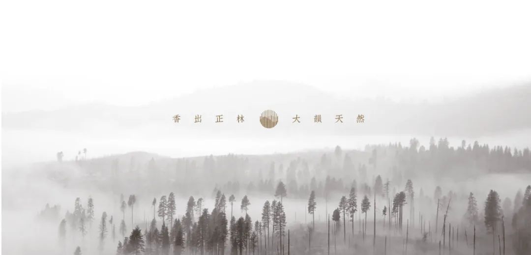 如何进行一整套包装设计,干货礼盒包装设计