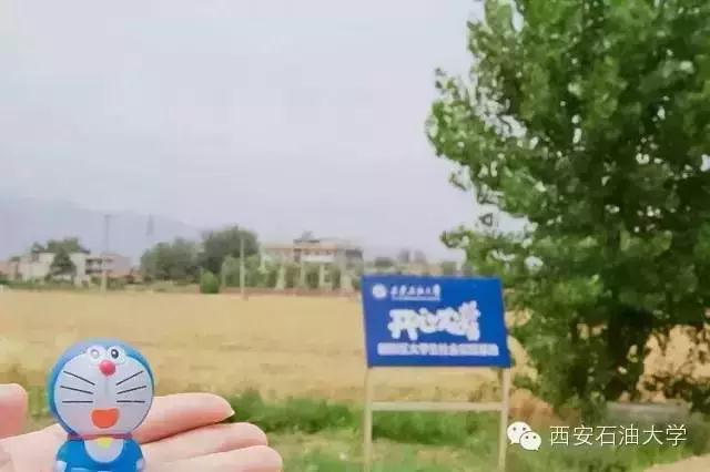 鄠邑区开心农场,西安开心农场果园