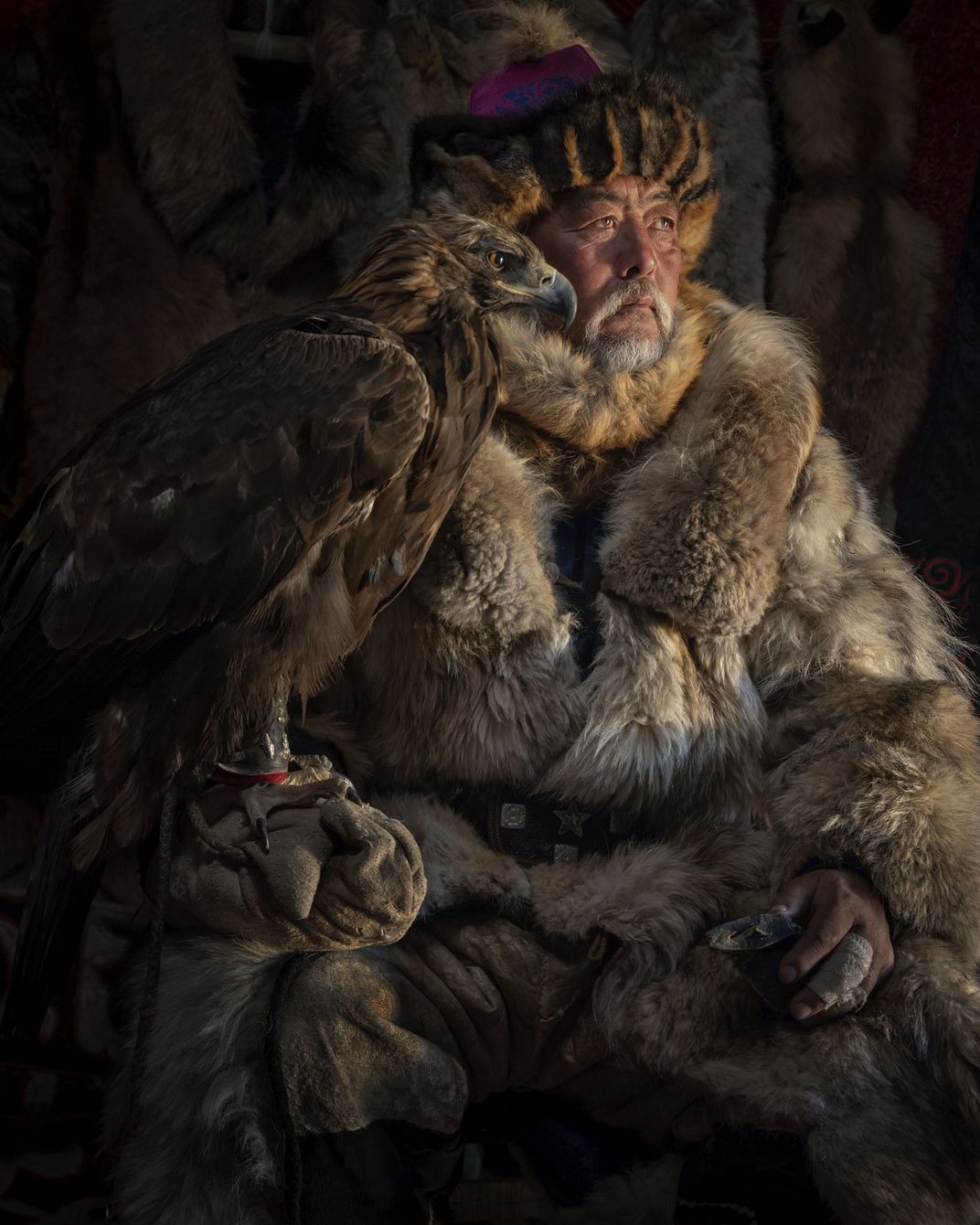 美国史密森尼摄影大奖,史密森尼摄影大奖