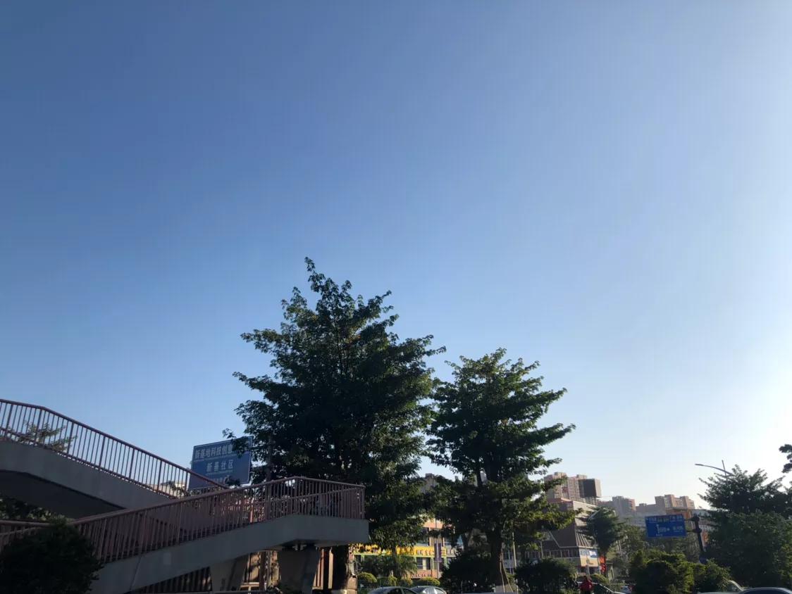 我们如何克服社交恐惧,自卑恐惧心理产生原因及克服对策