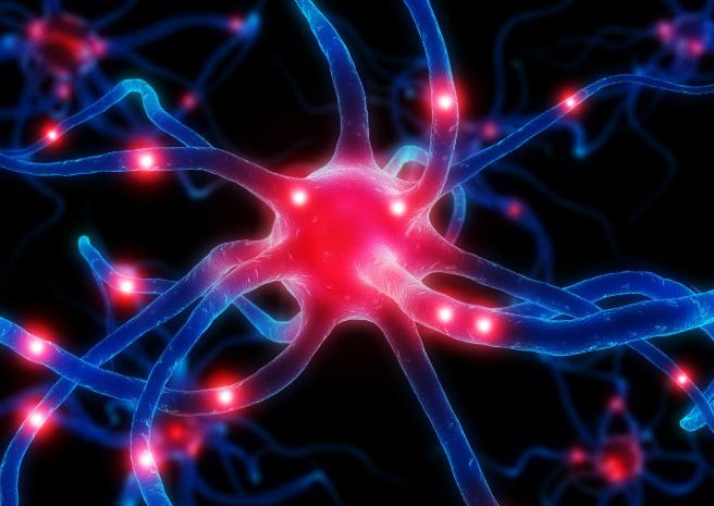 肾炎的种类到底有哪些,肾炎都有哪几种类型