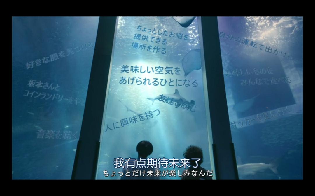 不想回老家喂猪,请假回家喂猪