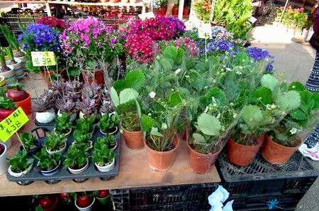 一万块做什么能快速赚钱,有哪些生意可以靠差价赚钱