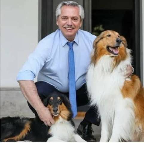 苏格兰牧羊犬和柯利犬的区别,牧羊犬都是柯利犬吗