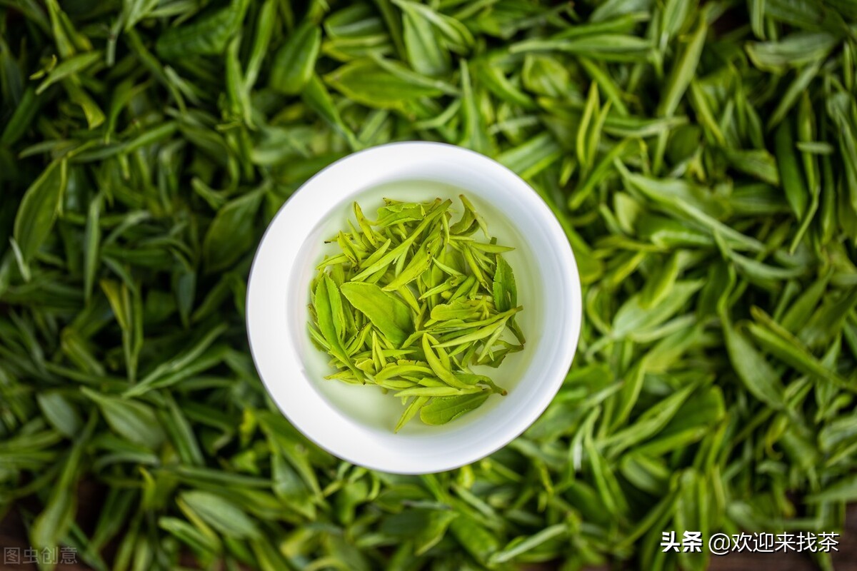 中国十大最好的茶叶品牌有哪些呢,中国知名茶叶品牌排行榜有哪些呢