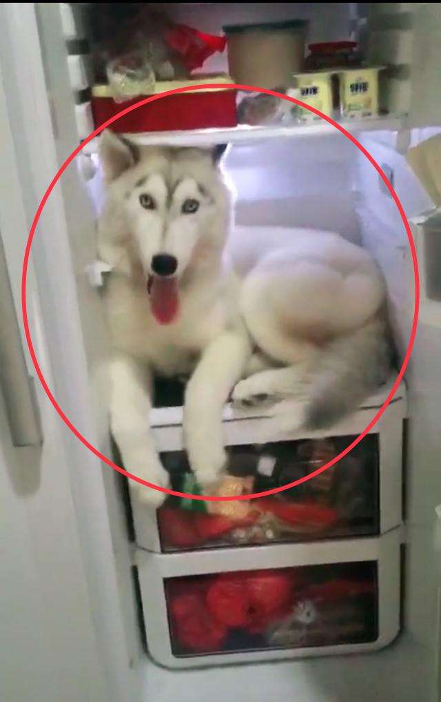 这个山洞可以装下万头大象？别瞎想，此“象”非彼“象”