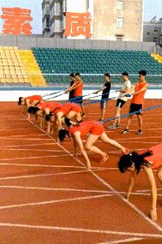 科技特长生好还是音体美好,音体美特长生去选科有什么要求吗