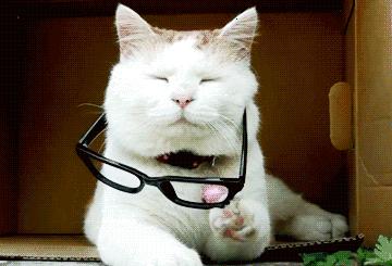 眼睛受伤急救小知识图片,眼睛受伤最佳治疗方法